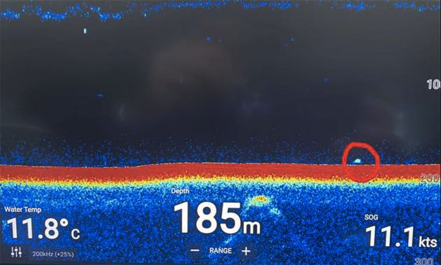 Schon ein zweites Mal binnen eines Monats zeigte das Sonar am 11. Oktober 2020 ein rätselhaftes großes Echo am Grund des Loch Ness. Copyright: Ronald Mackenzie/Cruise Loch Ness