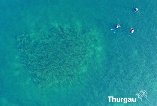 Drohnen-Luftbild eines von insgesamt 170 „Steinhügli“ im BodenseeCopyright: Fondation Octopus / AATG