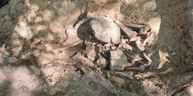 Das Grab des mit Steinen beschwerten „Wiedergängers“ am Galgenberg nahe Quedlinburg. Copyright: Landesamt für Denkmalpflege und Archäologie Sachsen-Anhalt