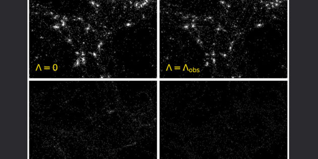 Wie derselbe Bereich des Universums bei unterschiedlichen Werten der Dunklen Energiedichte aussehen würde. Im Uhrzeigersinn von oben links: keine Dunkle Energie, dieselbe Dunkle Energiedichte wie in unserem Universum, 30-fache und 10-fache Dunkle Energiedichte unseres Universums. Die Bilder stammen aus einer Reihe kosmologischer Simulationen. Copyright/Quelle: Oscar Veenema (via Royal Astronomical Society) / CC BY 4.0